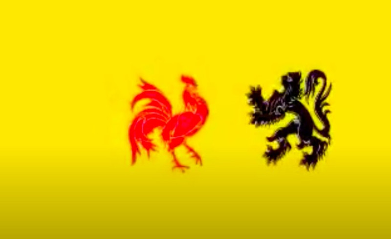 Gelekt: het bewijs dat Vlaanderen en Wallonië aparte landen zijn