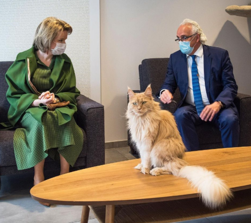Kat waardeert aanwezigheid van Mathilde niet echt