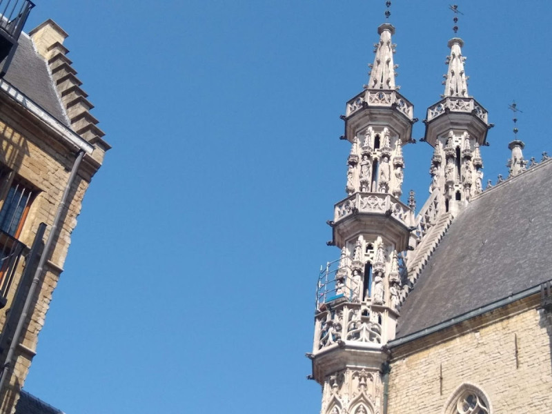 Koning verliest bijna hoofd in Leuven
