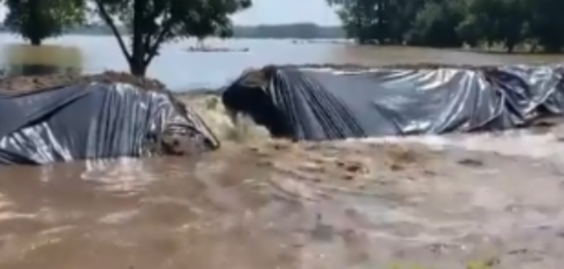 Nederland kampt nu ook met waterwappies en aapjeskijkers
