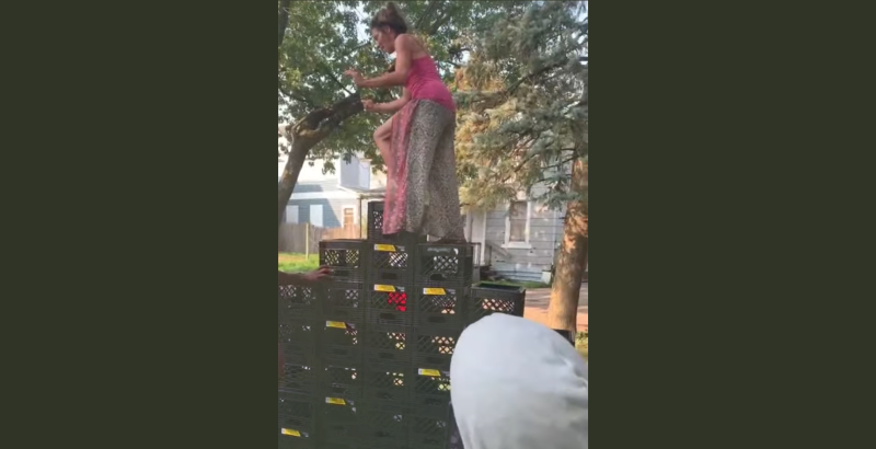 De Milk Crate Challenge is te gevaarlijk voor TikTok (video)
