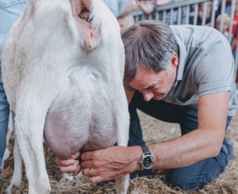 Boerenstiel lonkt voor premier De Croo