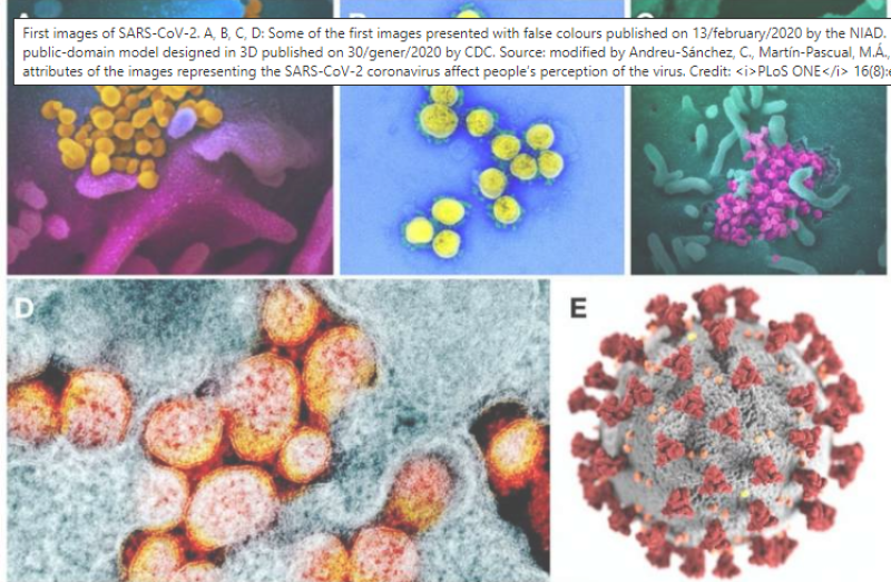 Coronavirus in kleur tonen is nu ook al fake nieuws volgens wetenschappers