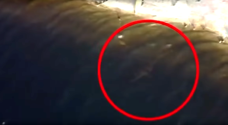 Drone filmt per toeval monster van Loch Ness (video)