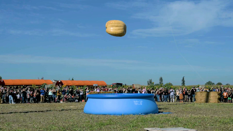 Pompoen van 550 kilo wordt op 30 meter hoogte gedropt in zwembadje (video)