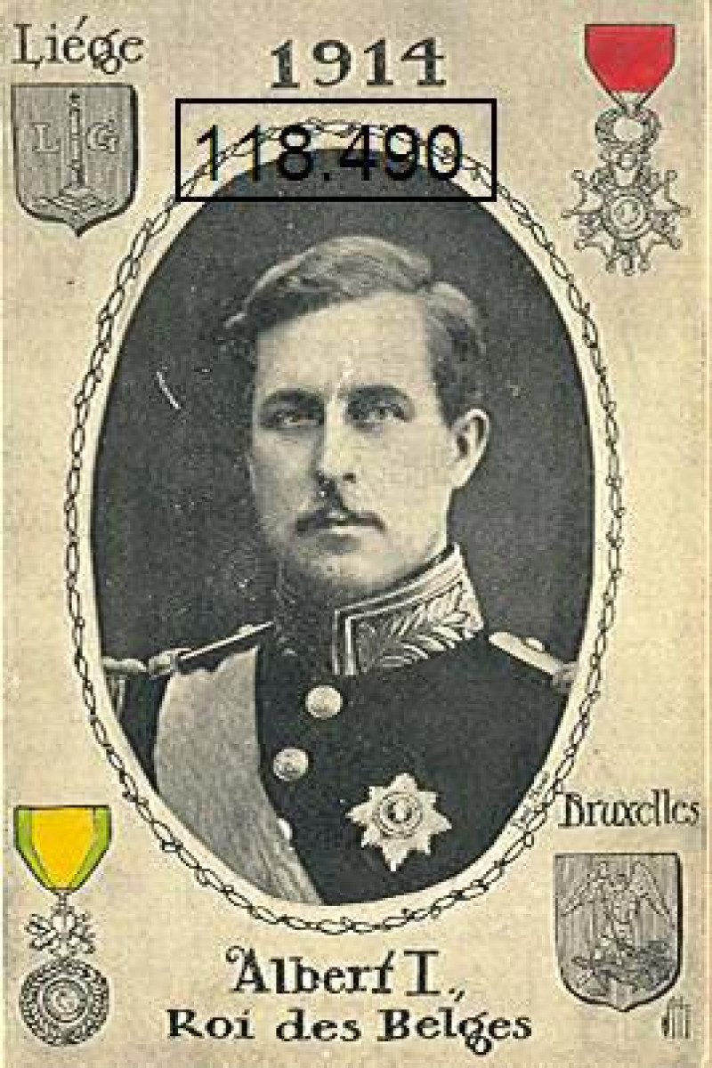 Albert I kon helemaal geen koning worden