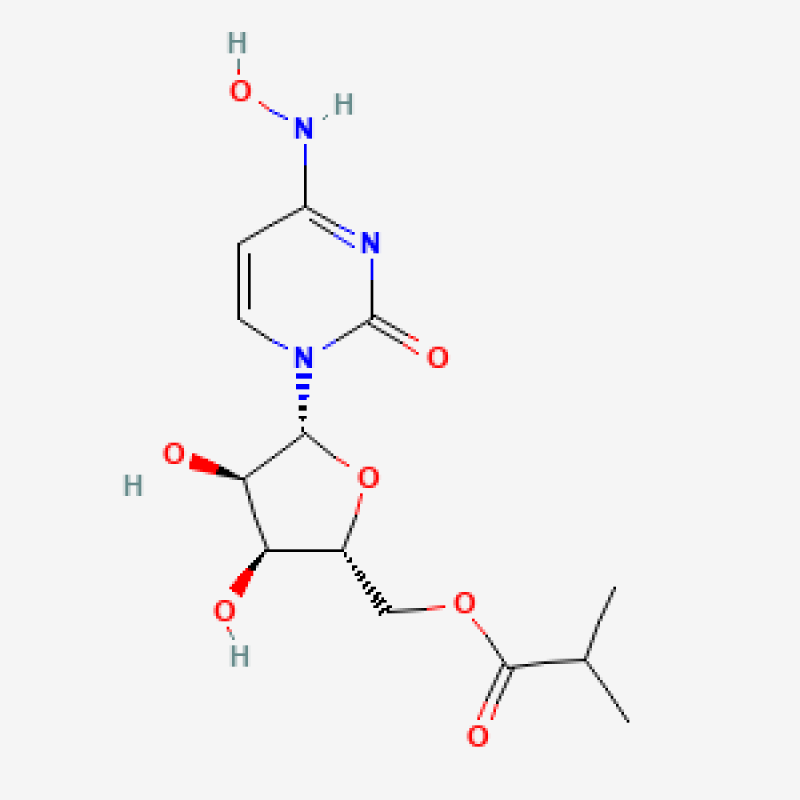 Molnupiravir: het merkwaardige verleden van de bruine coronapil van Merck
