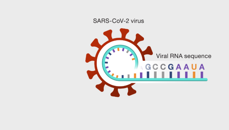 Het “2 minuten”-misverstand over mRNA-vaccins