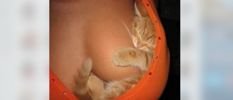 Tien om te zien #123 (foto's)