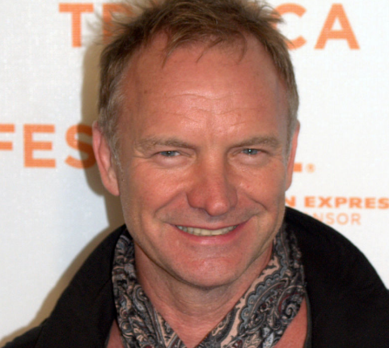 Oekraïnecrisis: activist Sting is nu ook al militair expert geworden