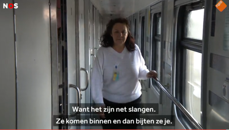 Oekraïnecrisis: Tutsi zijn kakkerlakken, Russen net slangen...