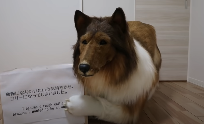 Man identificeert zich voortaan als langharige teef (video)