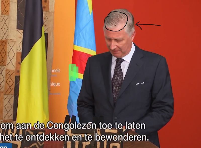 Congolese vlieg valt koning Filip lastig