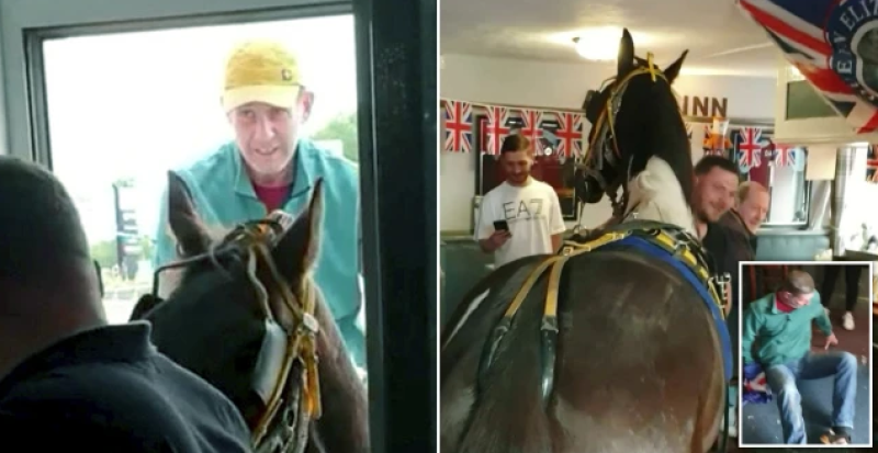 Een paard loopt een bar binnen en dan gebeurt er dit (video)