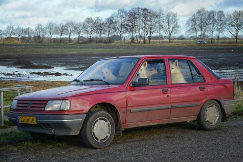 Tien om te zien #227 (foto's)
