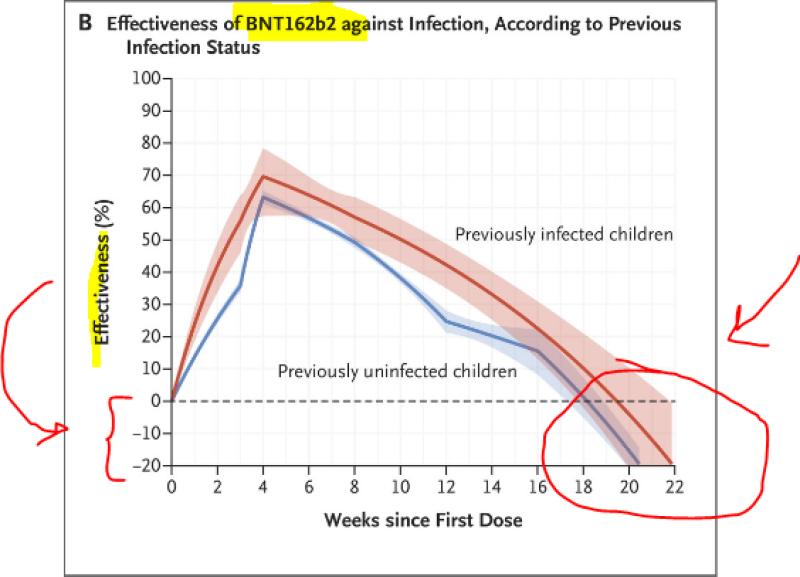 Studie NEJM: werking van coronavaccin bij kinderen wordt negatief na korte periode