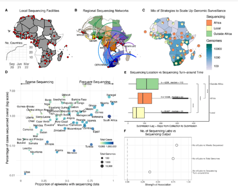 Science: coronavarianten in Afrika vanuit andere continenten geïntroduceerd