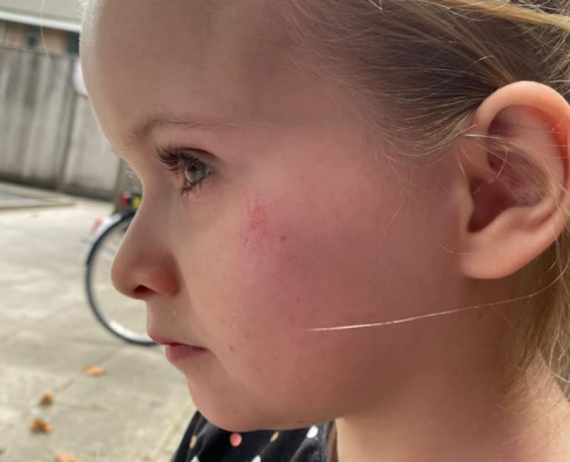 Ambert alert voor Hebe Zwart (10): Nederland massaal op zoek naar meisje en begeleidster