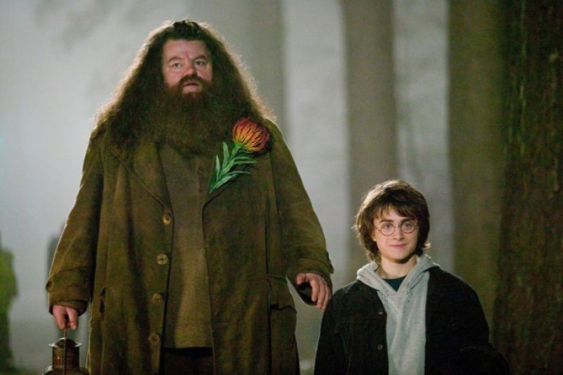Gender-activisten juichen dood Harry Potter-acteur toe