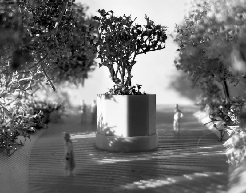 Slachtoffers van Bende in Aalst krijgen monument