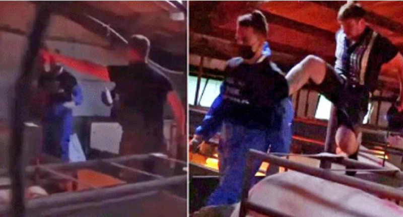 Boze boer heeft het gehad met betogende activisten op zijn boerderij (video)