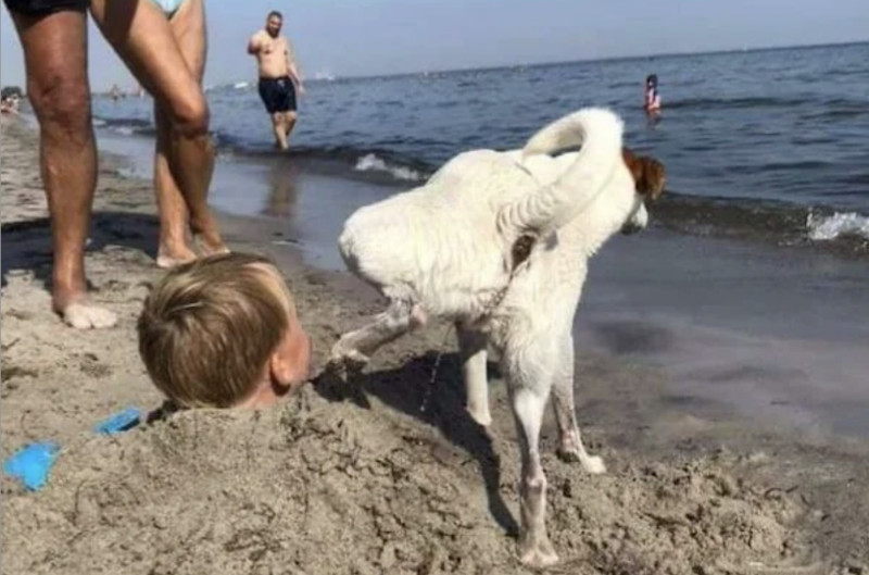 Tien om te zien #341 (foto's)