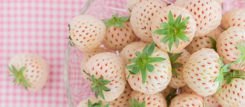 Ingrediënt onder de loep: alles wat je moet weten over witte aardbeien