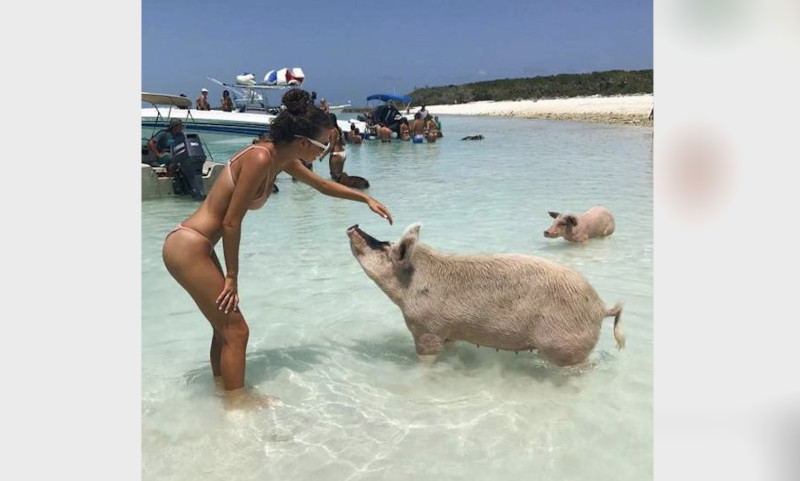 Tien om te zien #569 (foto's)