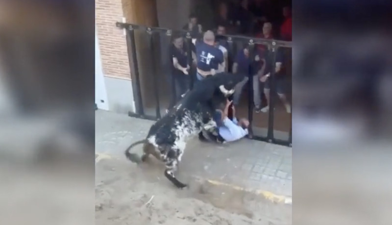 Stoere Spanjaard dodelijk gespietst door stier die hij uitdaagde (video’s)
