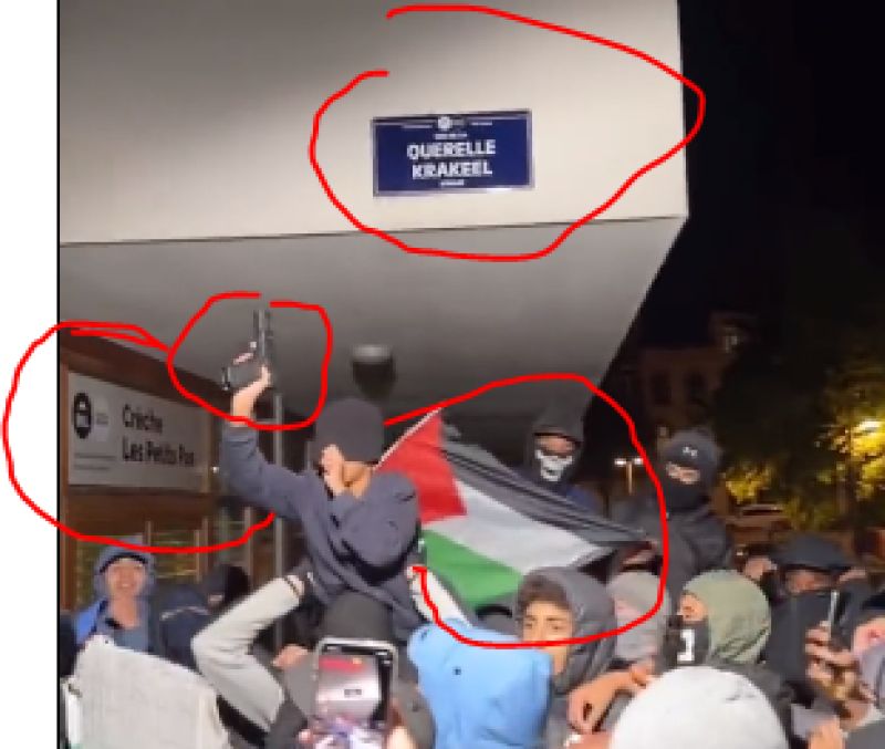 Gemaskerde pro-Palestijnse betogers steken jongen met vuurwapen omhoog aan Brusselse crèche